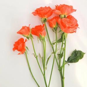 315曝光的3类黑心酒水，竟还在流通！喝的人要当心